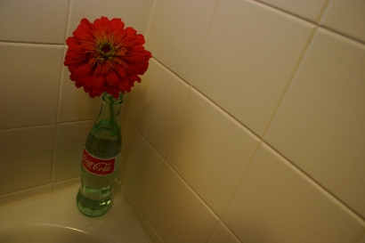 Coke and a Flower